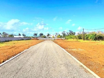 Terrain