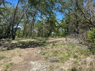 Terrain Résidentiel