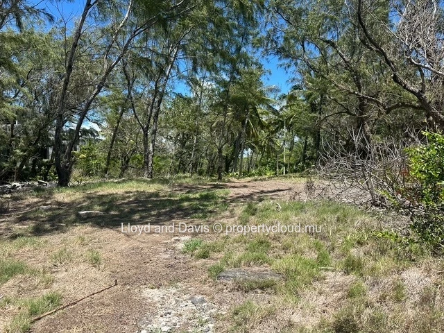 Exceptional Beachfront Land with Direct Beach Access