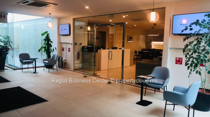 Espace de bureau privé pour 3 personnes à Regus Downtown