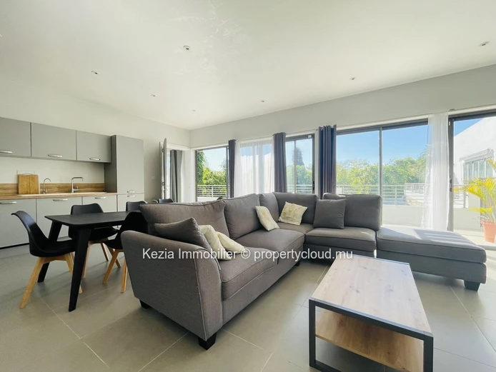Contemporary Apartment