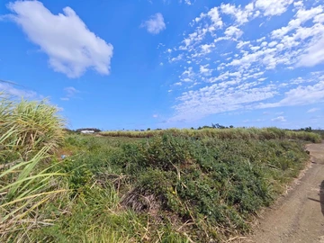 Residential Land