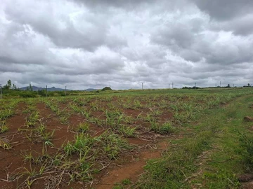 12,400 m² agricultural land