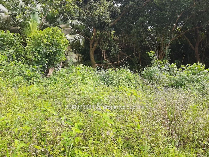 Residential Land for Sale – New Grove