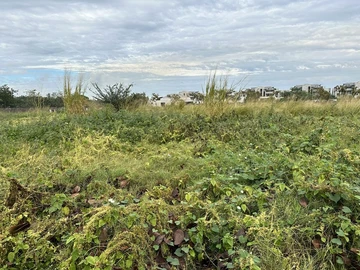 Residential Land