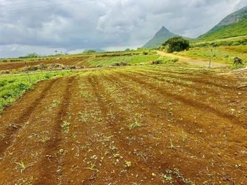 Agricultural Land