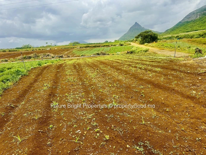 961M² De Terrain Agricole À La Laura – Environnement Calme Proche De St Pierre