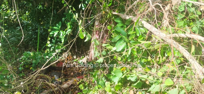 Saint Antoine – Land for sale – Pam Golding Mauritius