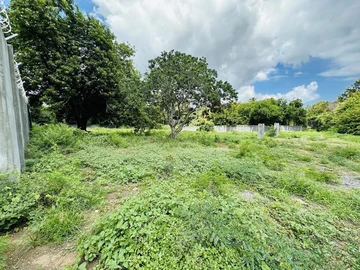 Commercial Land