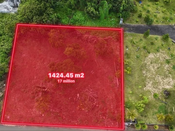 Commercial Land