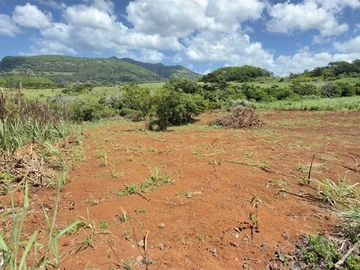 Terrain Agricole
