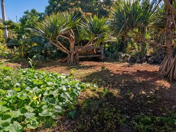 Residential Land