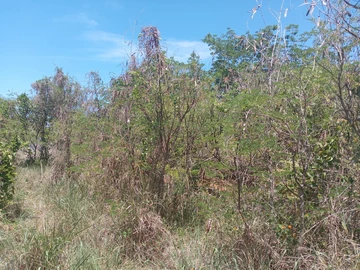 Residential Land
