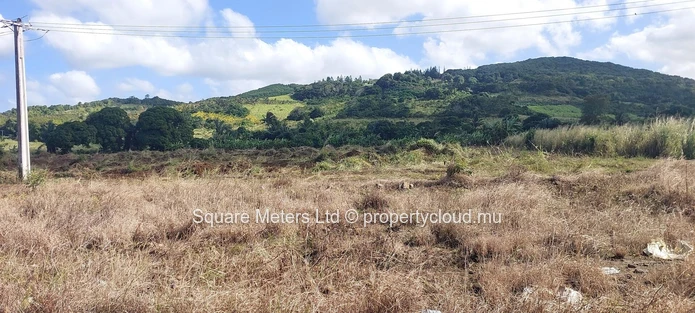 Terrain agricole à vendre à Bel Air – Emplacement privilégié avec un potentiel exceptionnel (Mandat exclusif)