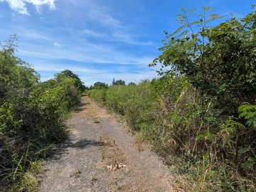 Residential Land