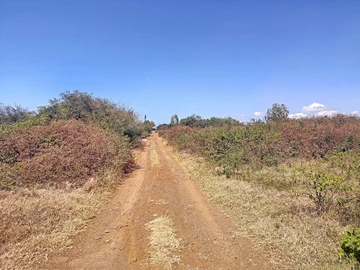 Land