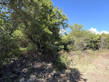 Residential Land