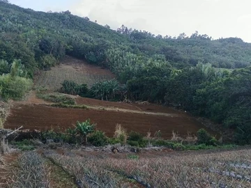 Agricultural Land