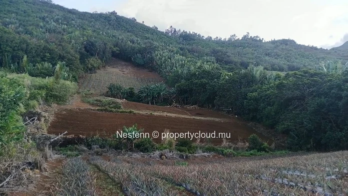Terrain avec vue panoramique