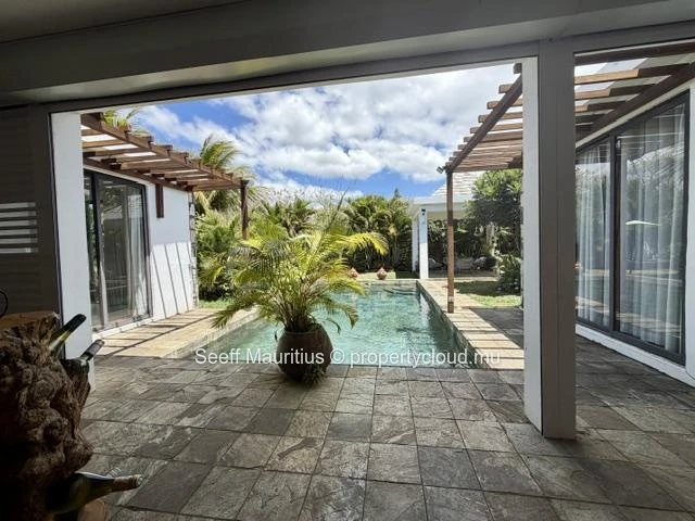 Élégance Tropicale 