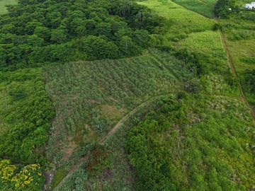 Terrain Agricole