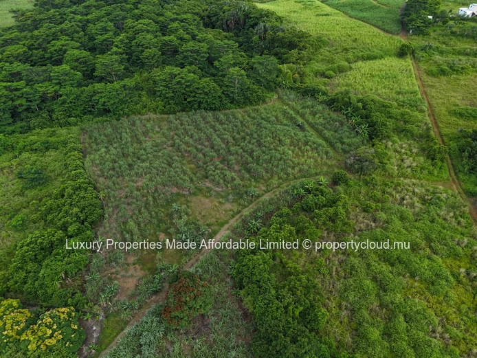 125Perches Agricultural Land in Sebastopol