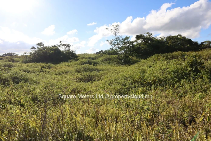 Terrain agricole de 2 111 m² à vendre à Melrose (Mandat exclusif)