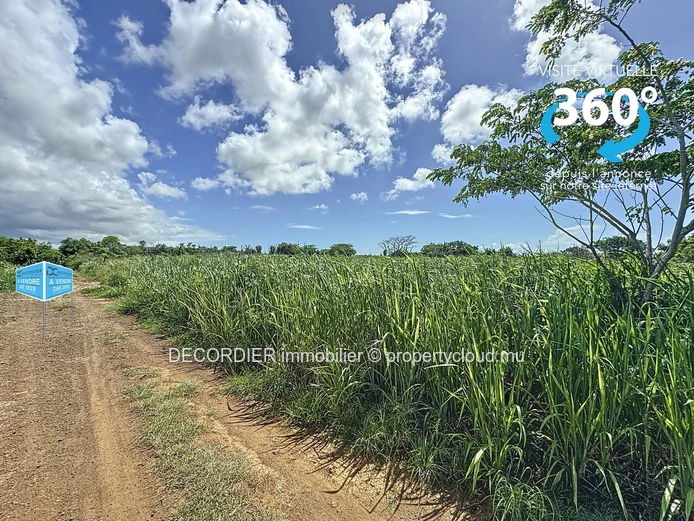 Terrain agricole en conversion résidentielle
