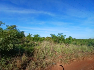 Agricultural Land