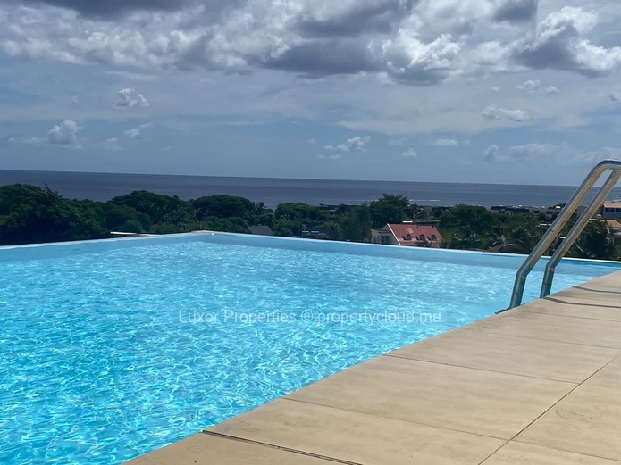Apartment with rooftop swimming pool 