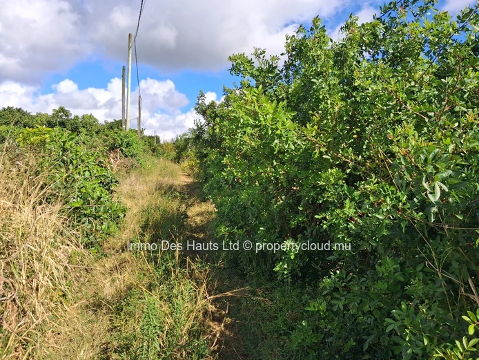 Residential Land for sale la Marie Vacoas 