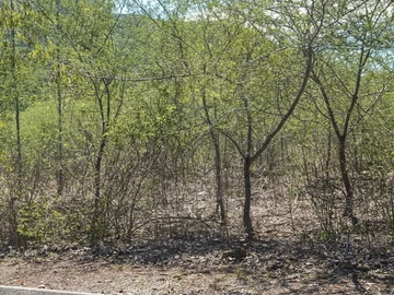Residential Land