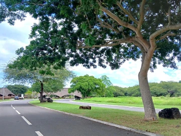 Residential Land