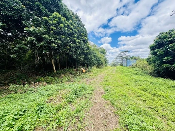 Agricultural Land