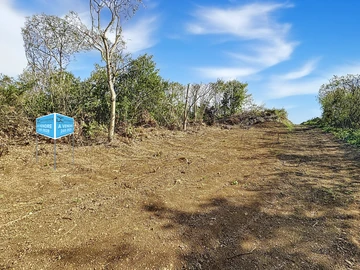 Land