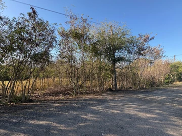 Residential Land
