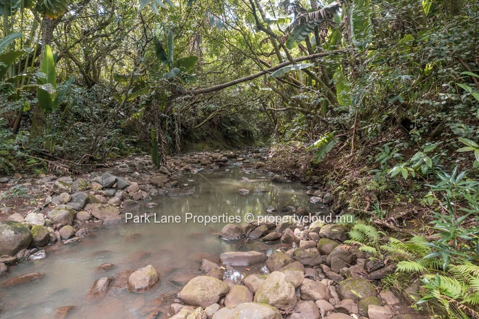 Beautiful Plot Surrounded by Nature next to River