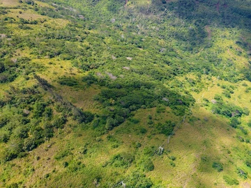Terrain Agricole