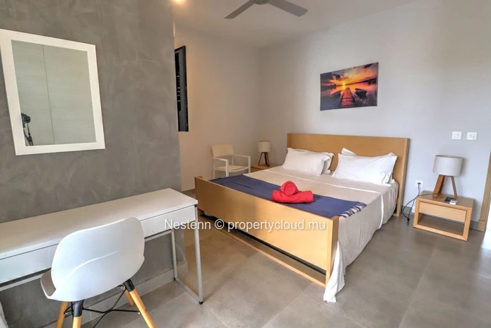 Magnificent 3-Bedroom Penthouse in Choisy-les-Bains