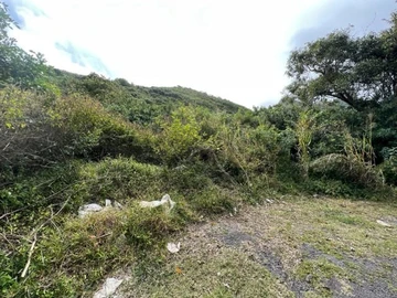 Terrain Agricole