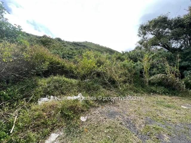 25 Acres of agricultural land with breathtaking views – Montagne Ory, Moka