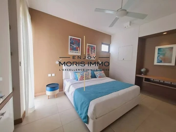2 Bedroom Penthouse