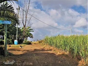 Land