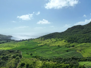 Agricultural Land