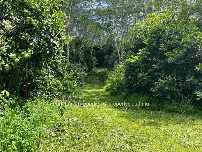 Agricultural land ideal for lodges