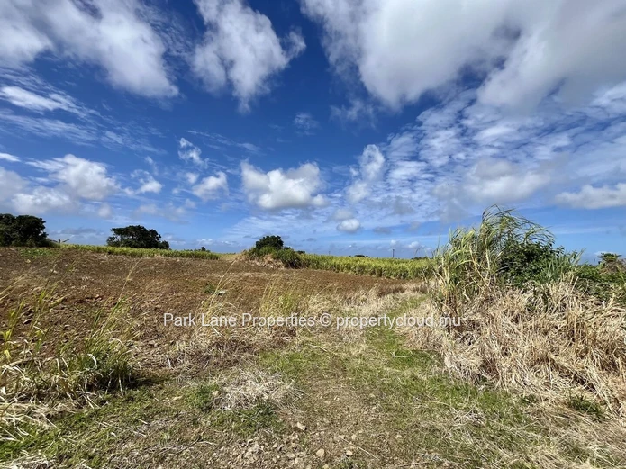 Agricultural Land for Sale in Chamouny, Mauritius – 20.80 Acres 