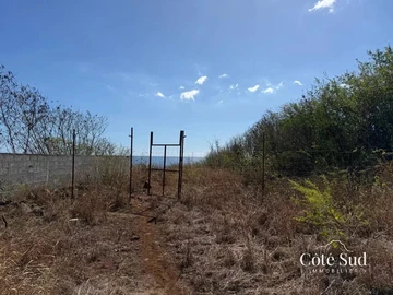 Land