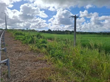 Agricultural Land