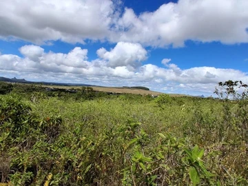 Terrain Agricole