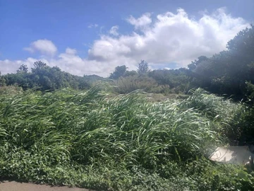Agricultural Land